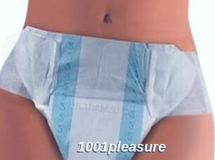 1001pleasure
