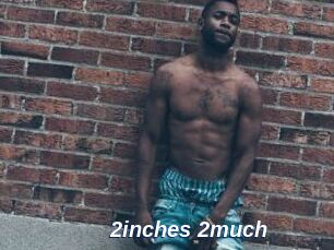 2inches_2much