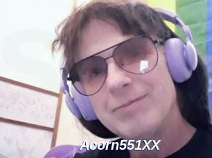 Acorn551XX