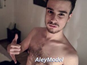 AleyModel