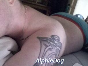 Alphie_Dog