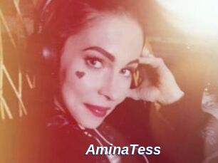AminaTess