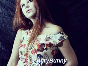 AngryBunny