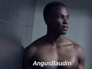 AngusBaudin