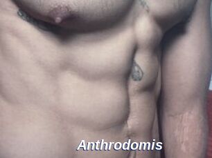 Anthrodomis