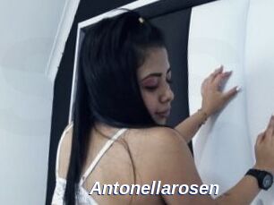 Antonellarosen