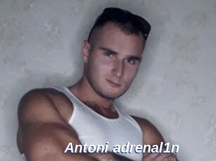 Antoni_adrenal1n