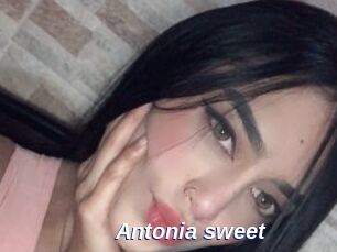 Antonia_sweet