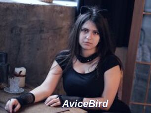 AviceBird