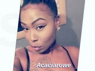 Acacia_rowe