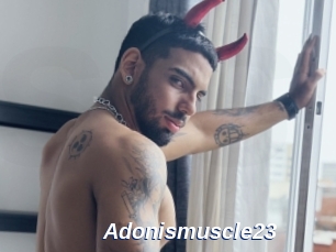Adonismuscle23