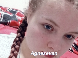 Agnesevan
