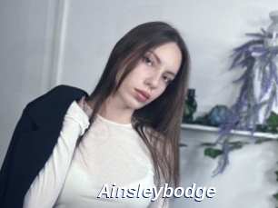 Ainsleybodge