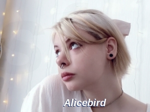 Alicebird