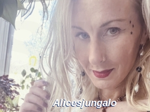 Alicesjungalo