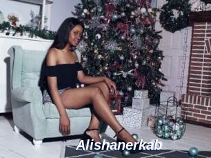 Alishanerkab