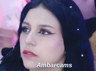 Ambarcams