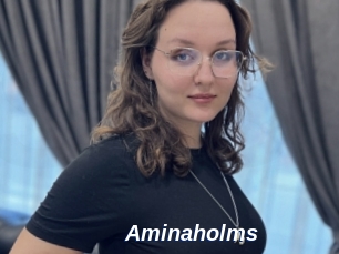 Aminaholms