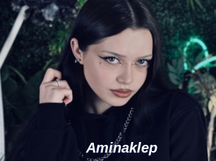 Aminaklep