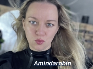Amindarobin