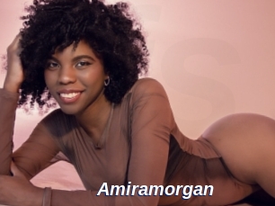 Amiramorgan
