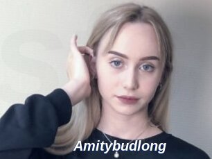 Amitybudlong