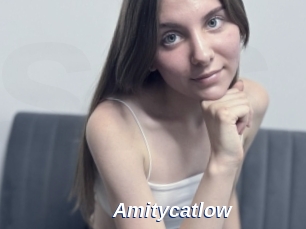 Amitycatlow
