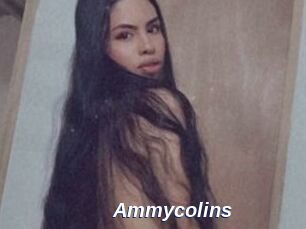 Ammycolins