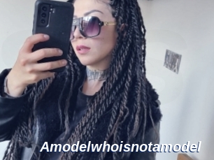 Amodelwhoisnotamodel