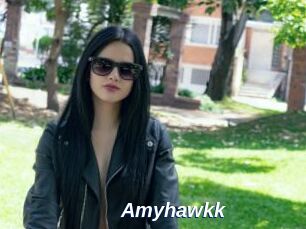 Amyhawkk