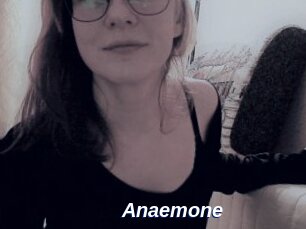 Anaemone