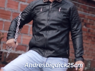 Andresbigdick25cm
