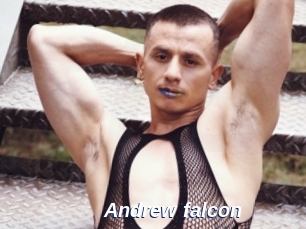 Andrew_falcon