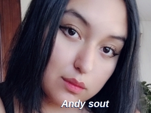 Andy_sout