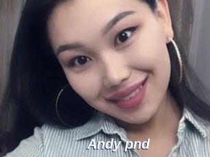 Andy_pnd