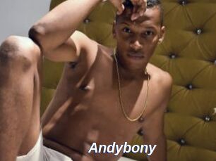 Andybony