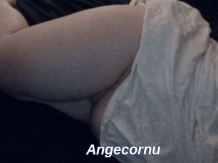 Angecornu