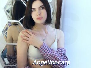 Angelinacarp