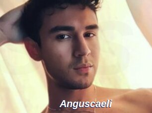 Anguscaeli
