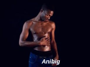 Anibig