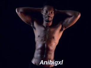 Anibigxl