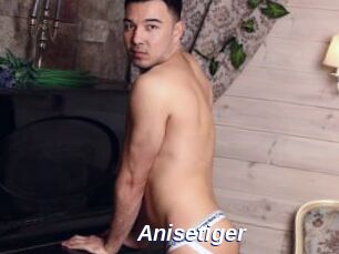 anisetiger Safer Sex