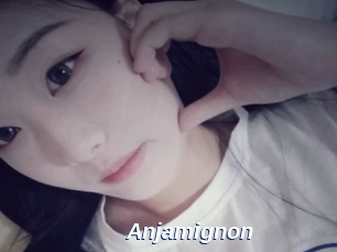 Anjamignon