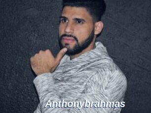 Anthonybrahmas