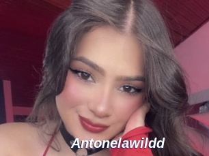 Antonelawildd
