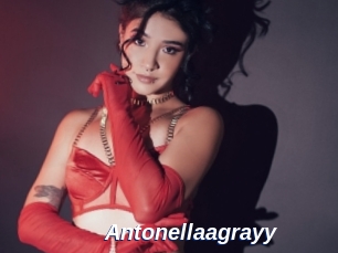 Antonellaagrayy