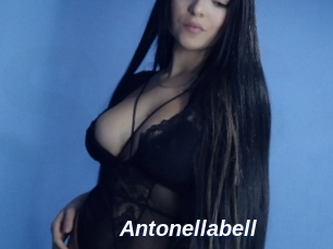 Antonellabell