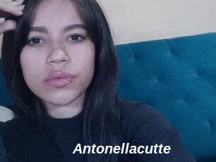 Antonellacutte
