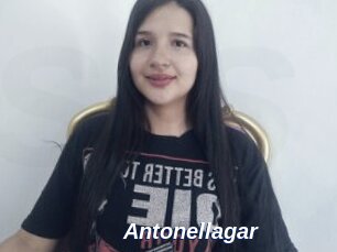 Antonellagar