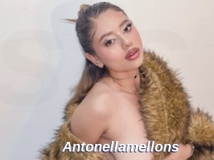 Antonellamellons